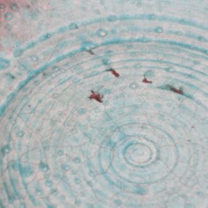 Glazed Teal Color Large Bowl Handcrafted Studio 9 Master.jpg