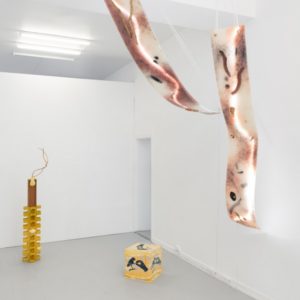The Science Of Imaginary Solutions Hilda Hellstr M Etage Projects 002 Photo By David Stjernholm Master.jpg
