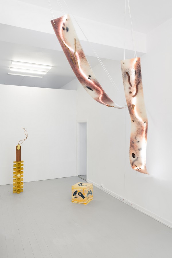 The Science Of Imaginary Solutions Hilda Hellstr M Etage Projects 002 Photo By David Stjernholm Master.jpg