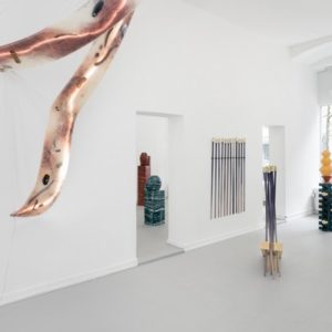 The Science Of Imaginary Solutions Hilda Hellstr M Etage Projects 007 Photo By David Stjernholm Master.jpg